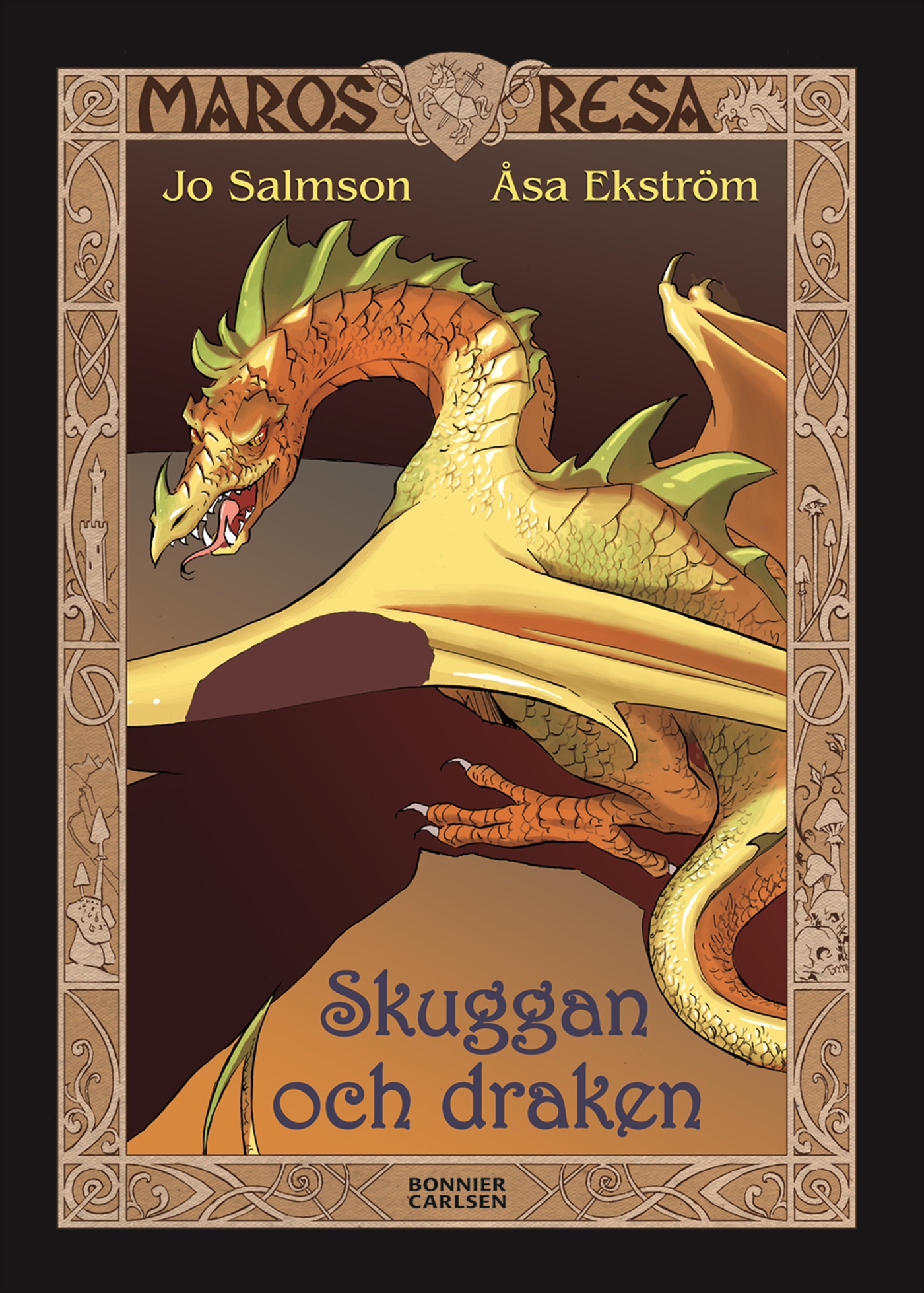 Omslag: Skuggan och draken