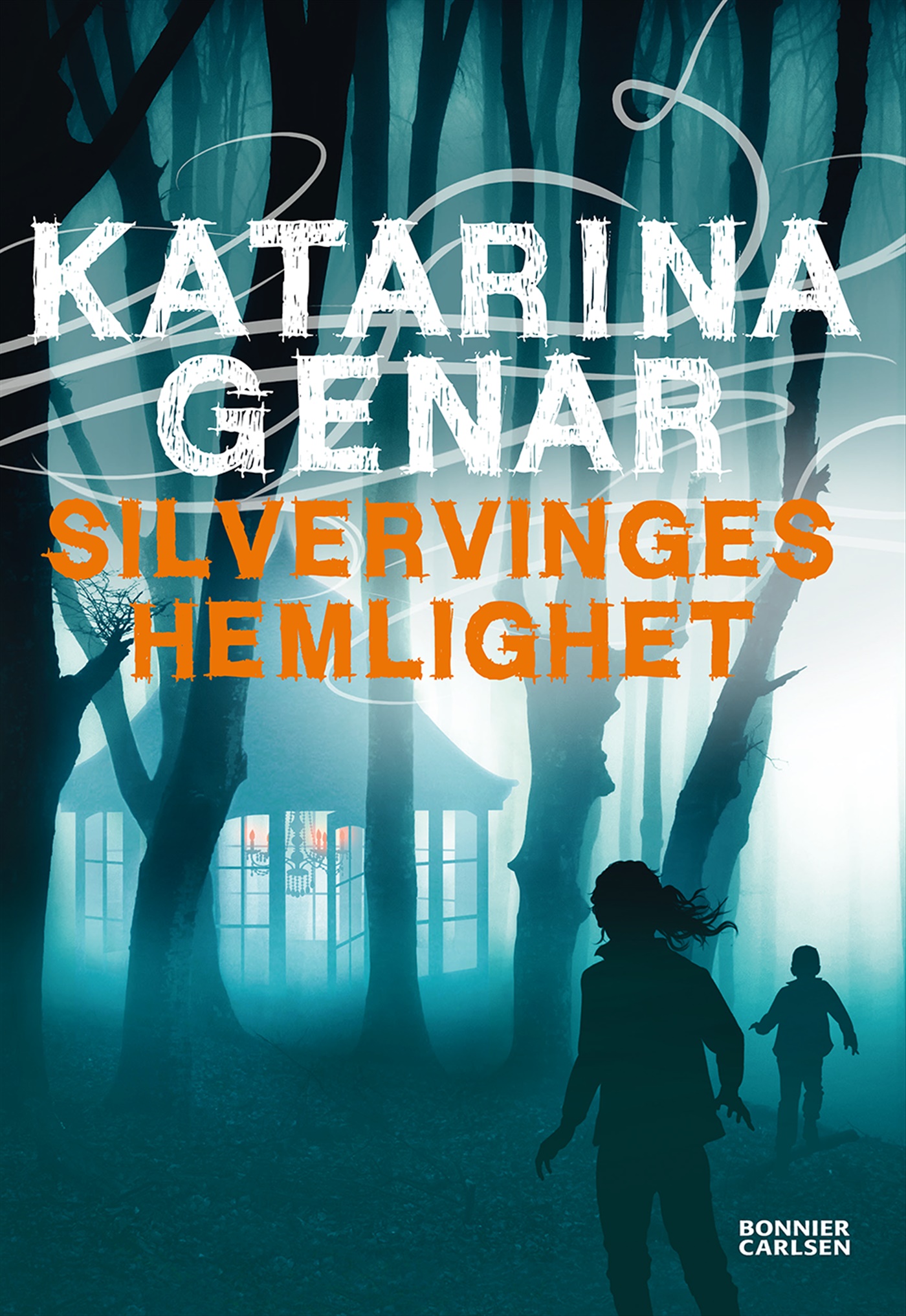 Omslag: Silvervinges hemlighet