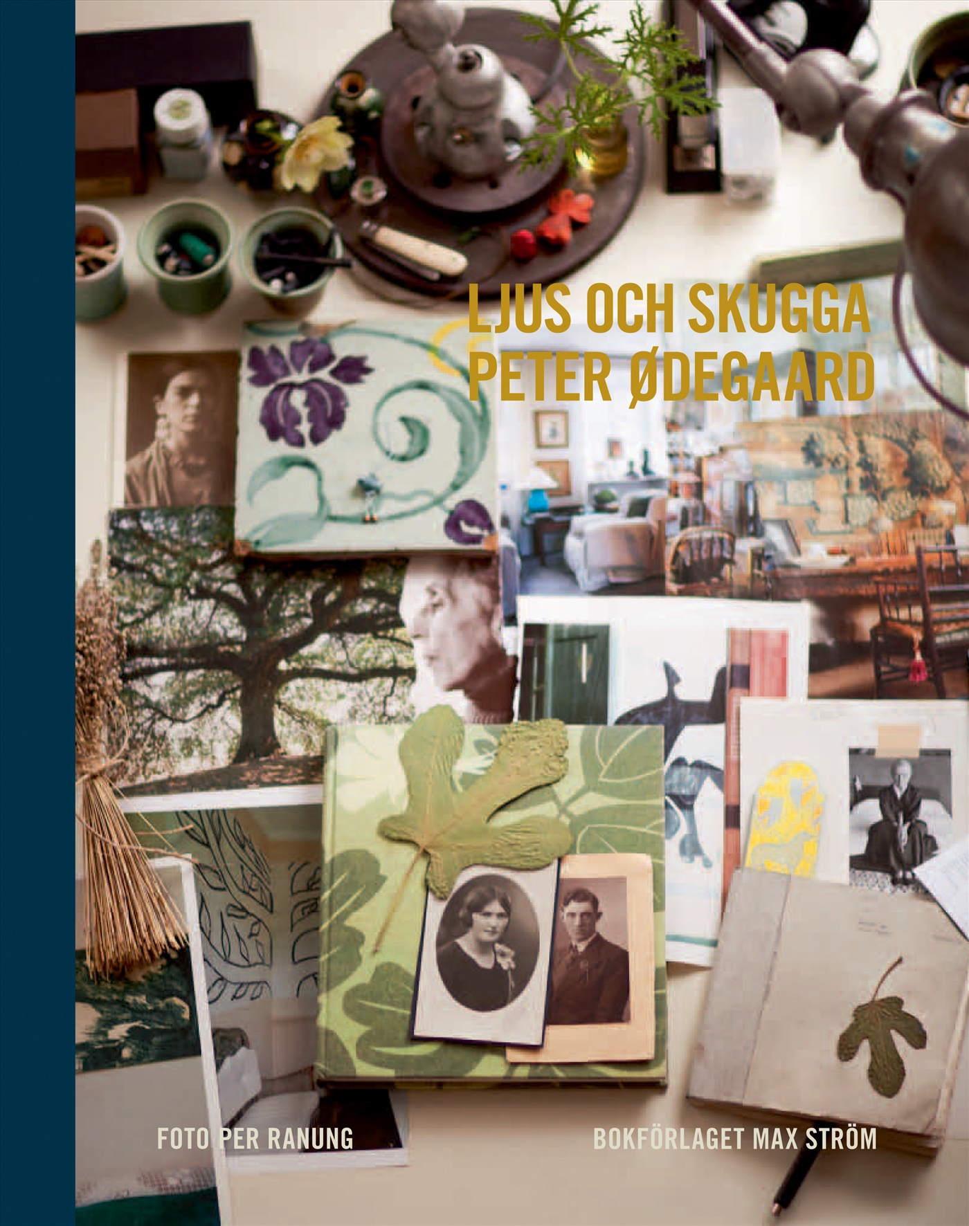 Omslag: Ljus och skugga