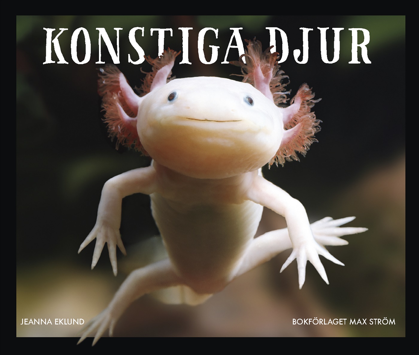 Omslag: Konstiga djur : Varelser du inte trodde fanns