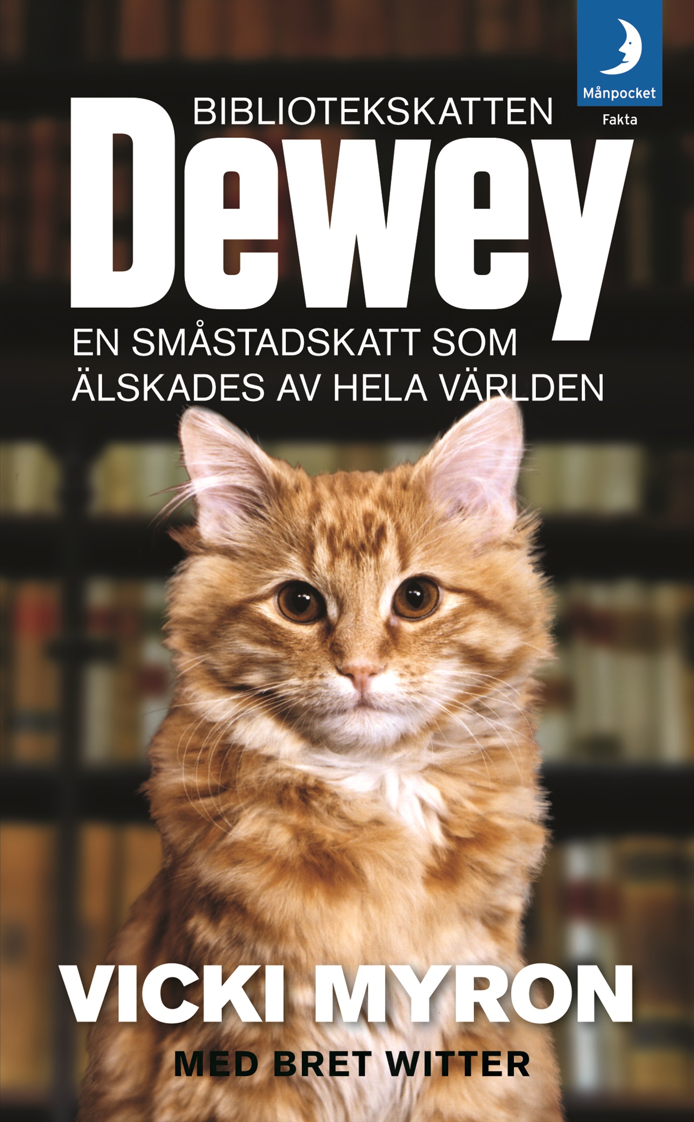 Omslag: Bibliotekskatten Dewey : en småstadskatt som älskades av hela världen