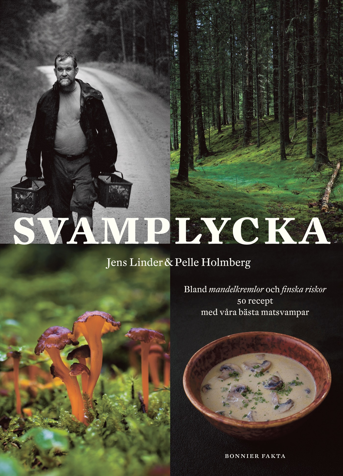 Omslag: Svamplycka