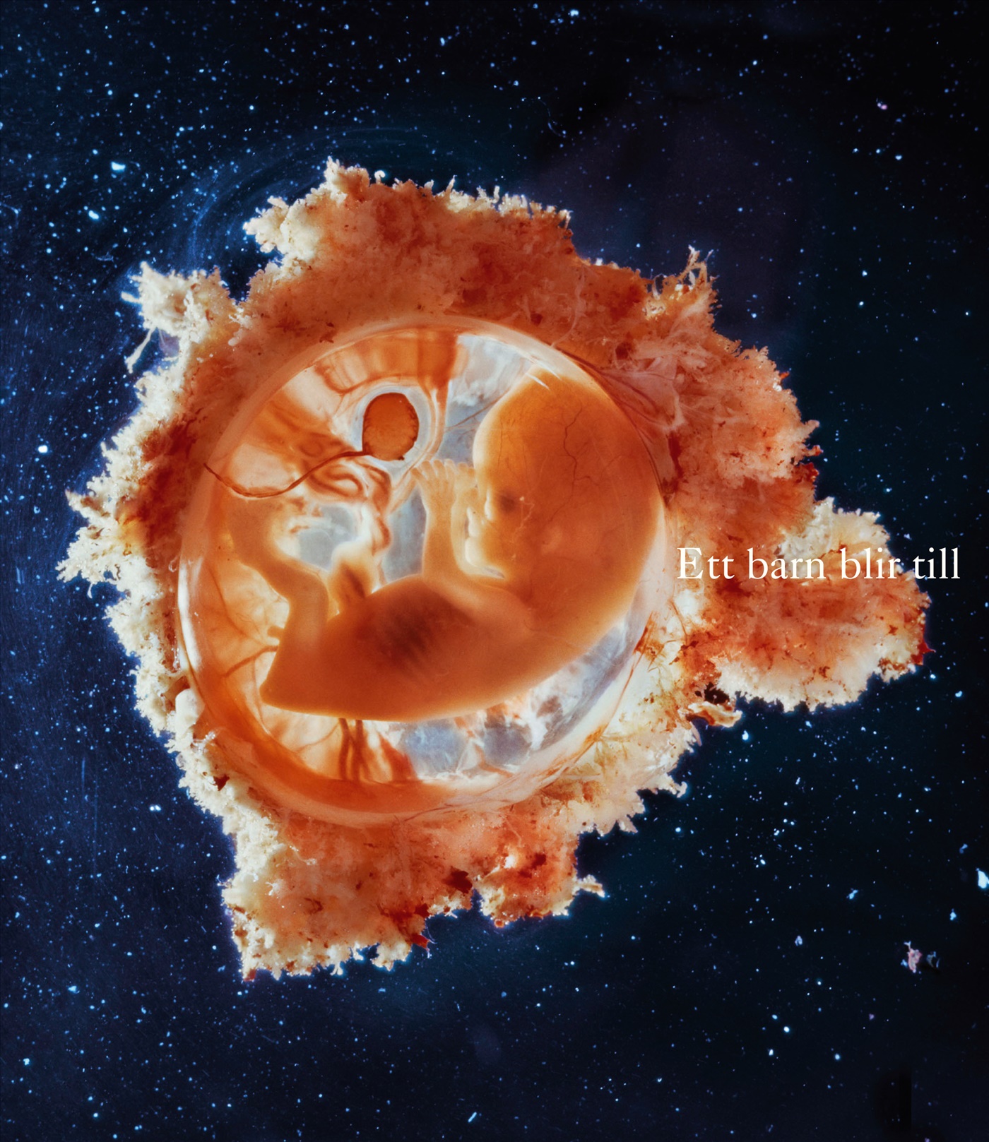 Omslag: Ett barn blir till