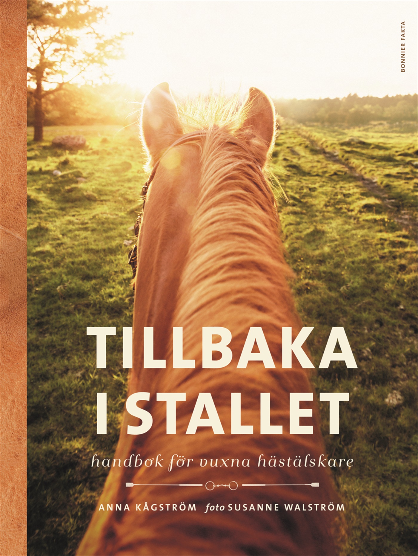 Omslag: Tillbaka i stallet : Handbok för vuxna hästälskare