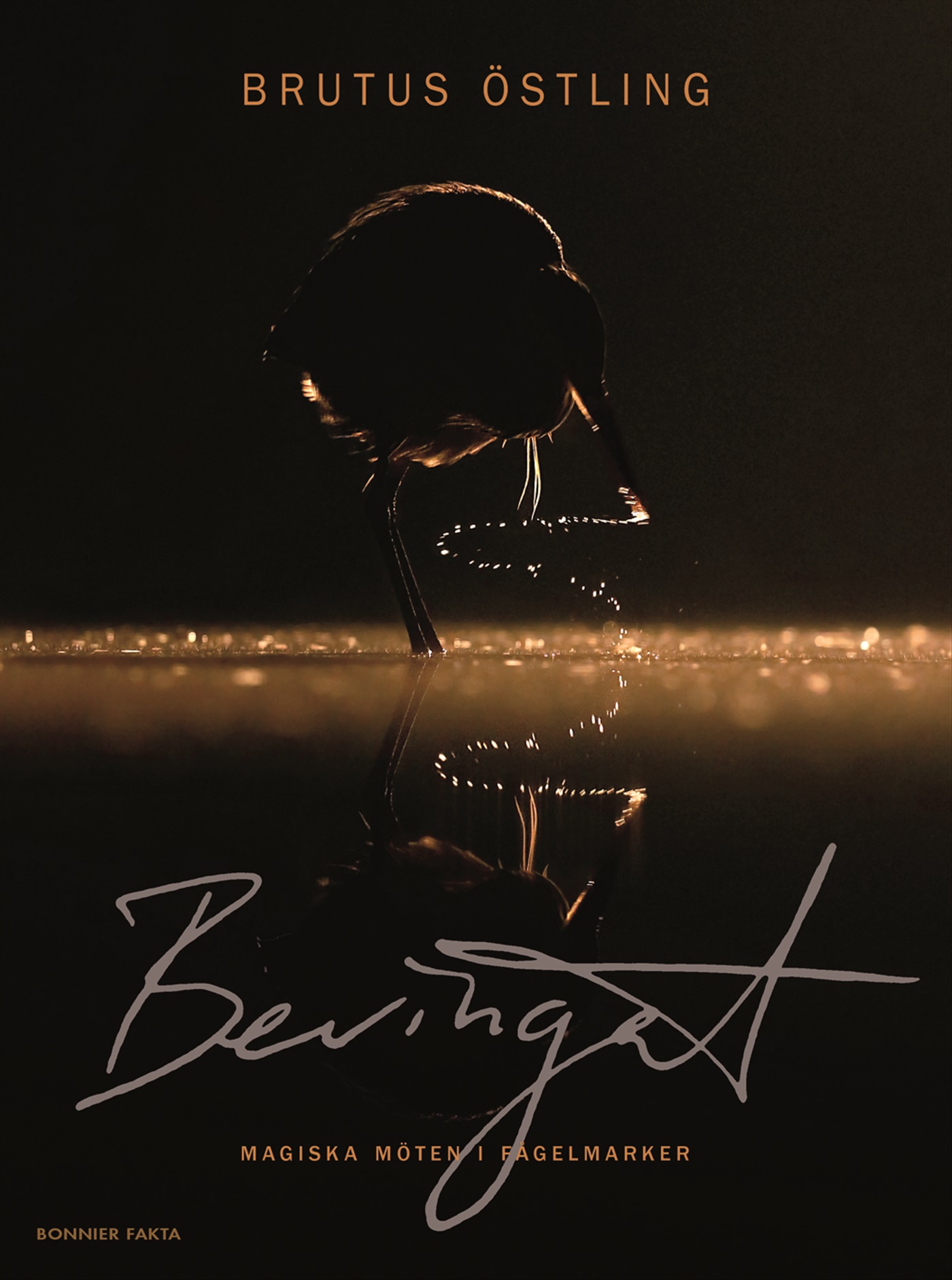 Omslag: Bevingat : magiska möten i fågelmarken