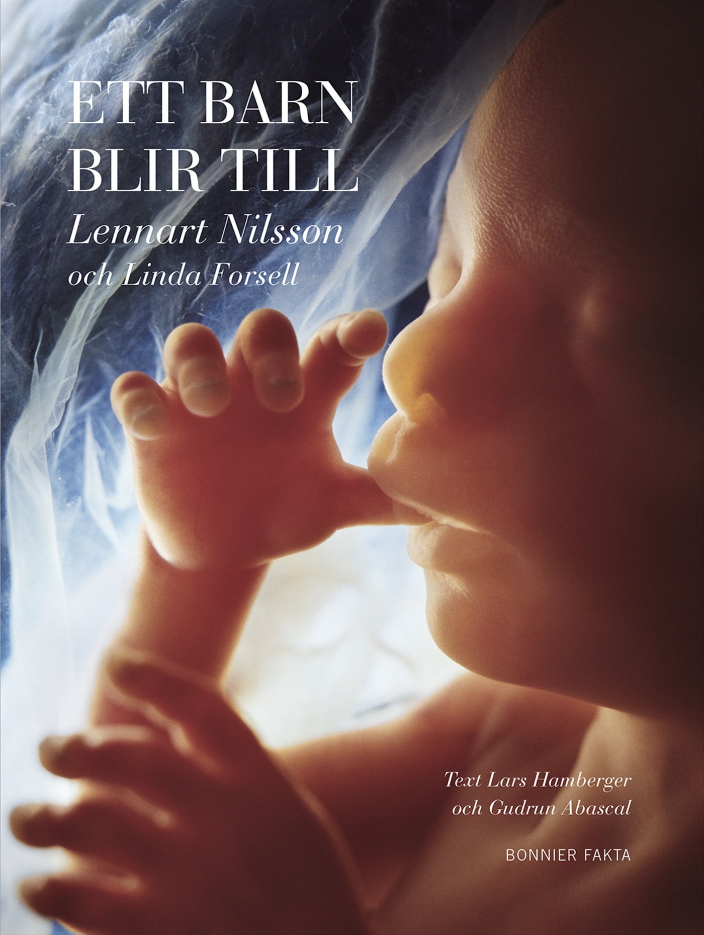 Omslag: Ett barn blir till