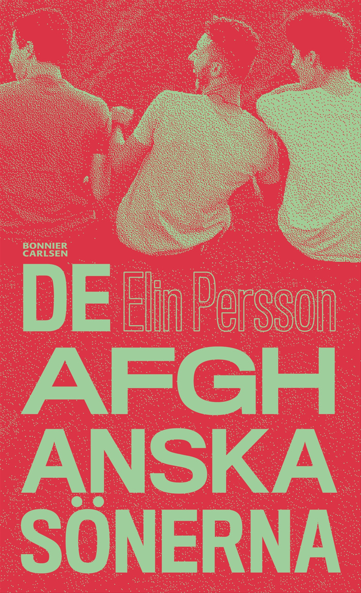 Omslag: De afghanska sönerna