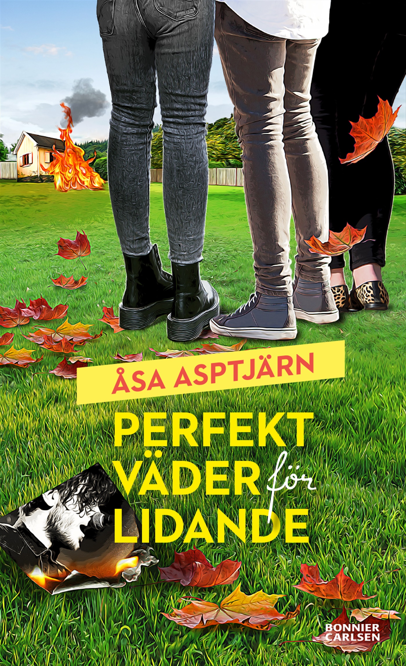 Omslag: Perfekt väder för lidande