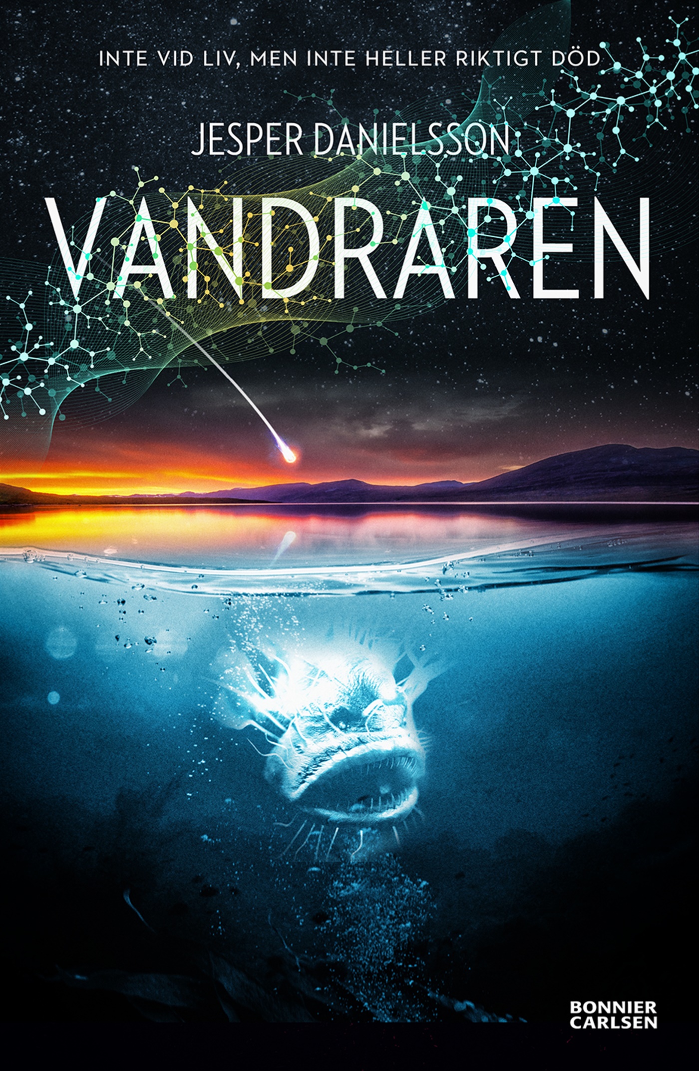 Omslag: Vandraren
