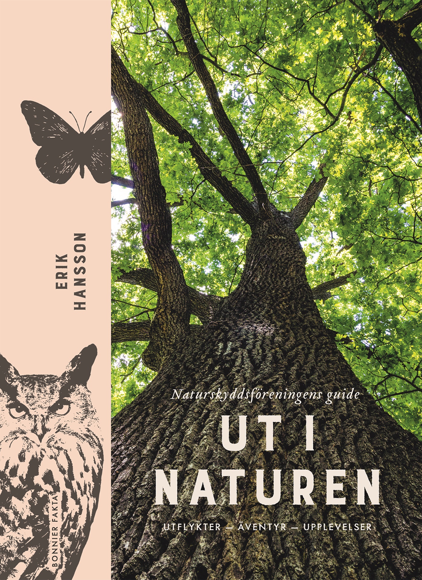 Omslag: Ut i naturen : Naturskyddsföreningens guide - utflykter, äventyr, upplevelser