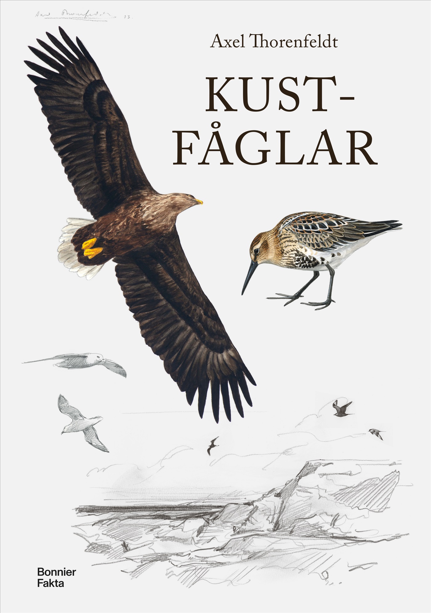 Omslag: Kustfåglar