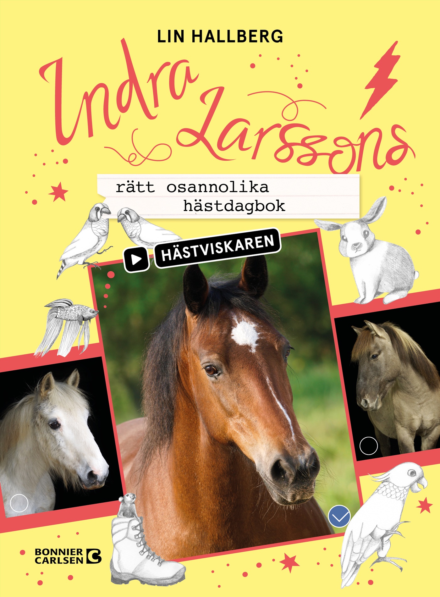 Omslag: Indra Larssons rätt osannolika hästdagbok