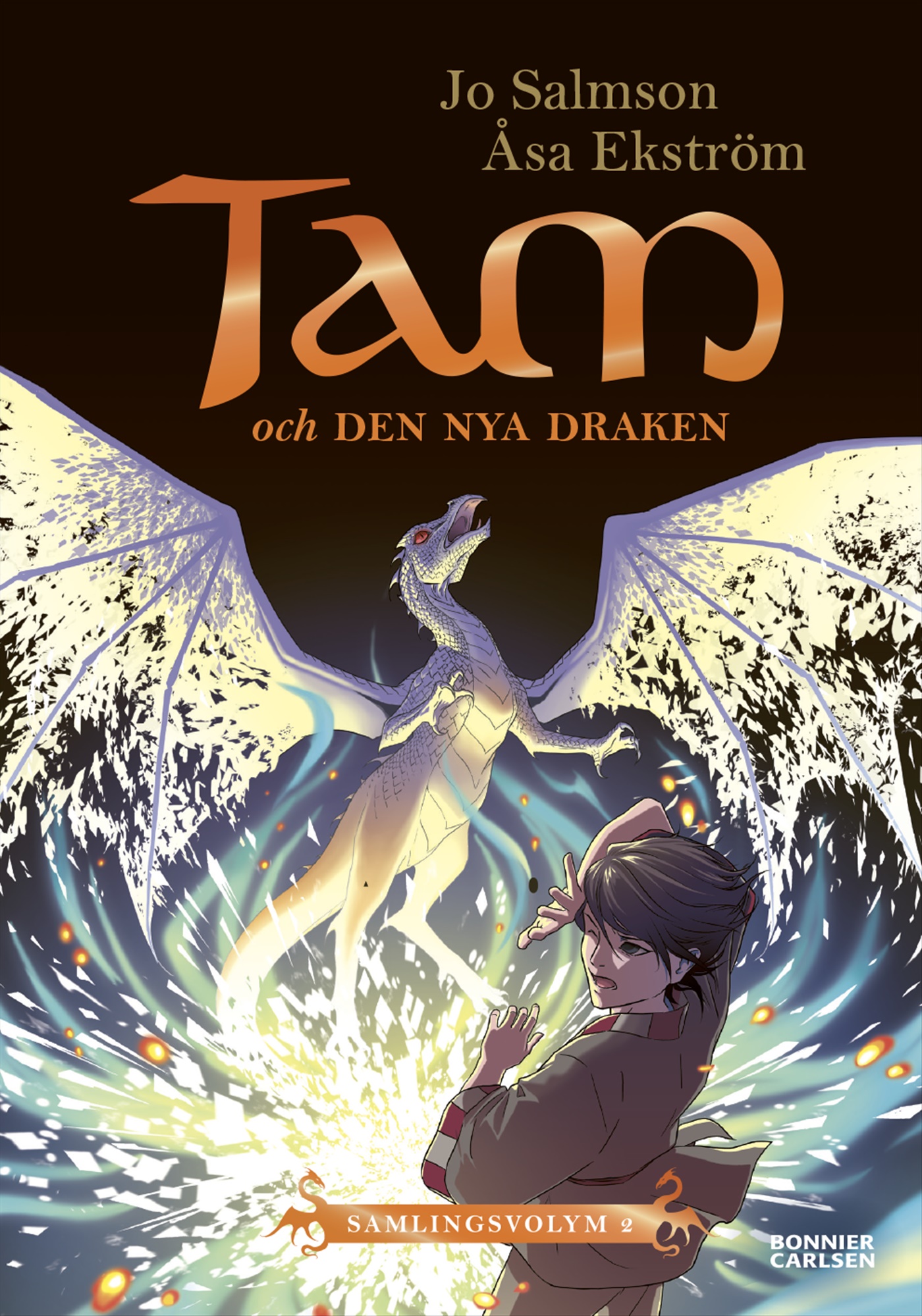 Omslag: Tam och den nya draken (Drakriddare, bok 4-6)