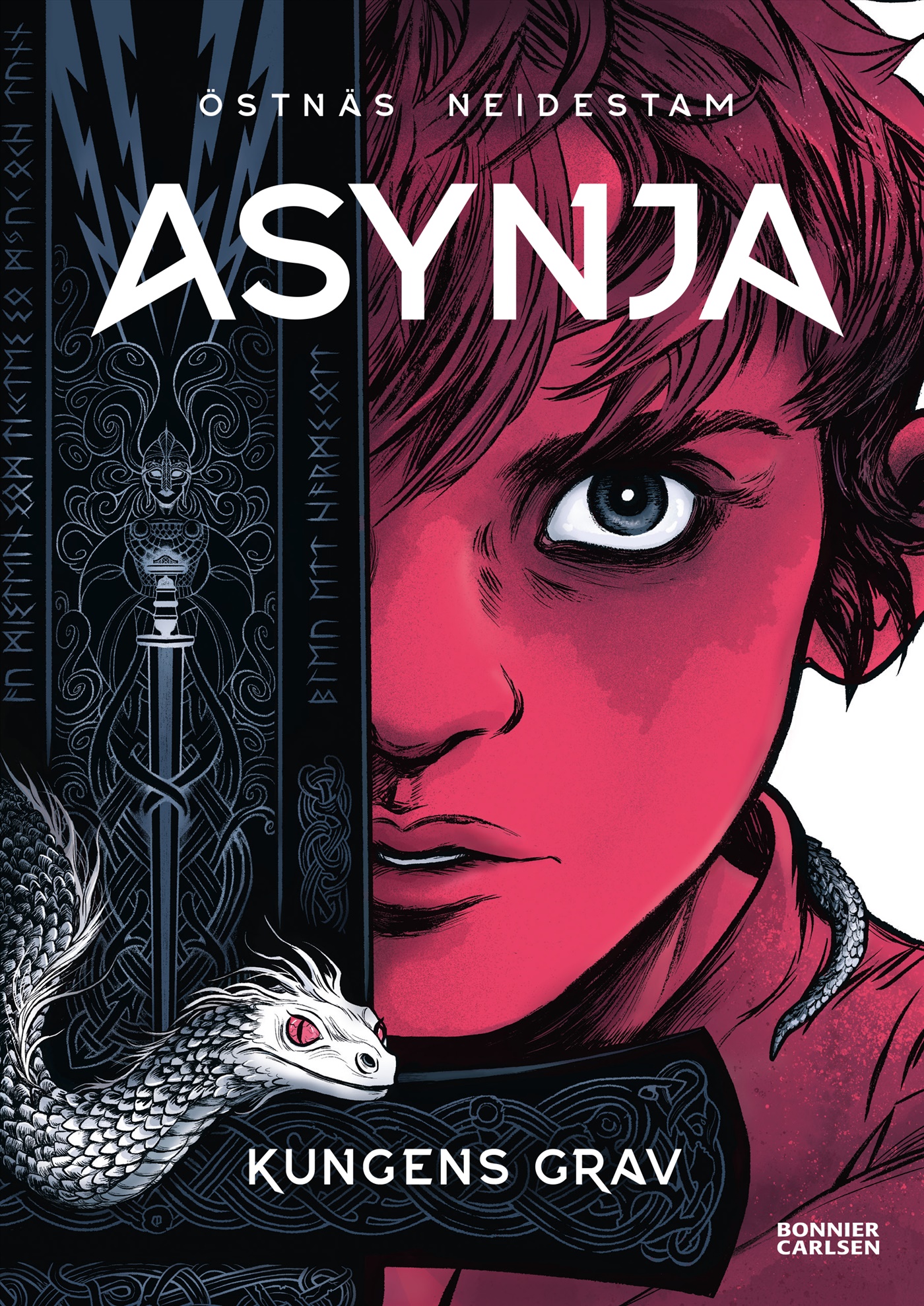 Omslag: Kungens grav