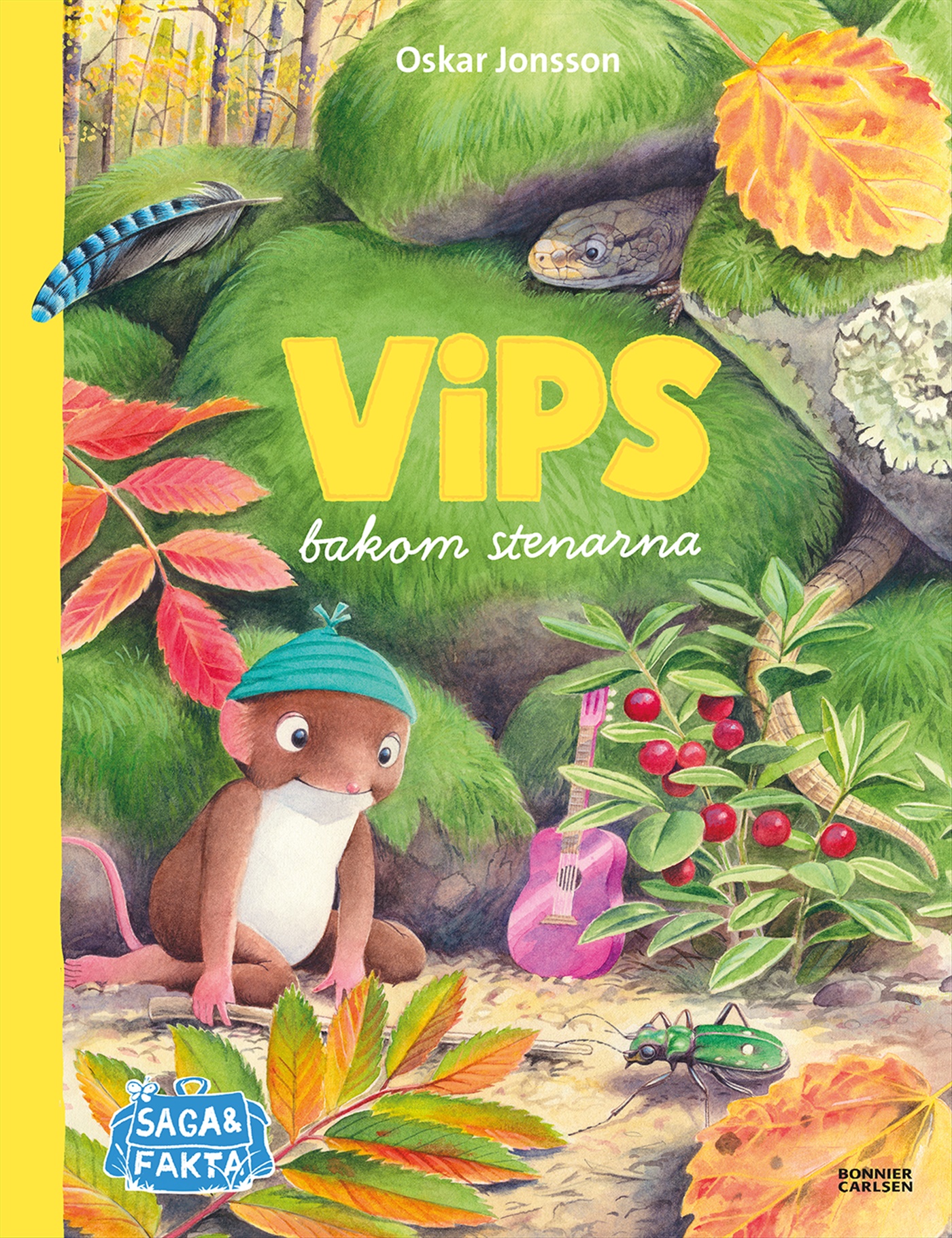 Omslag: Vips bakom stenarna