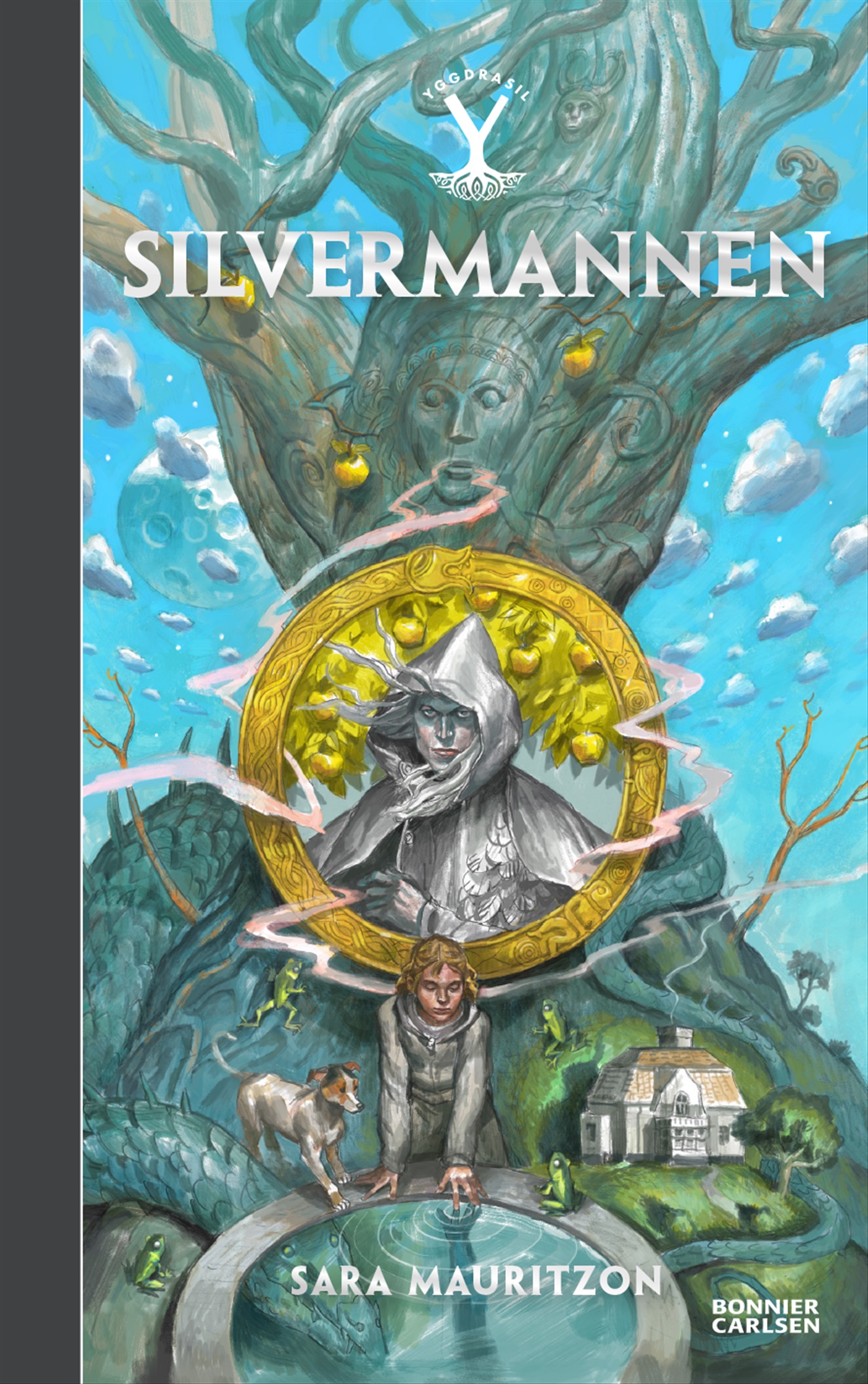 Omslag: Silvermannen