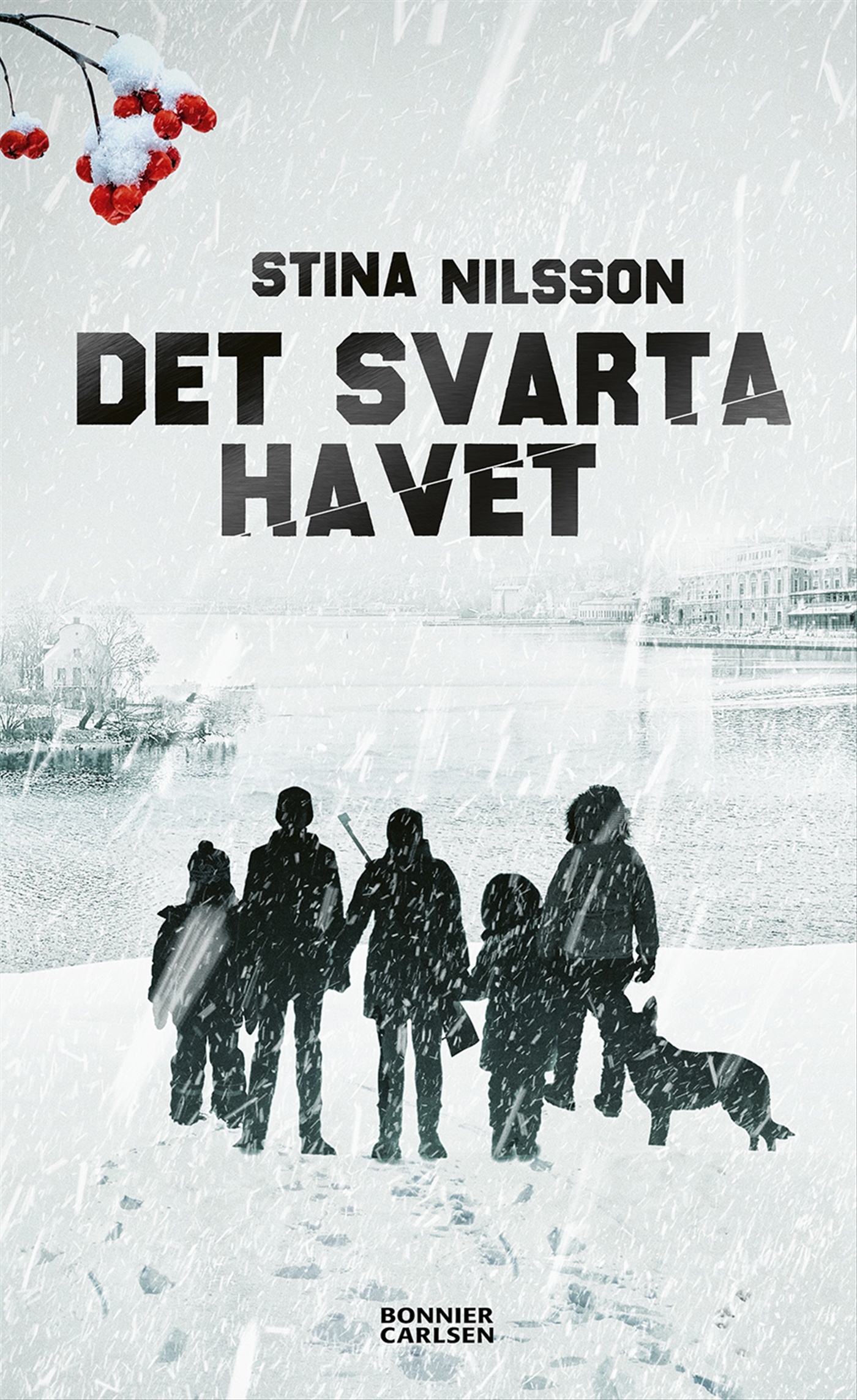 Omslag: Det svarta havet
