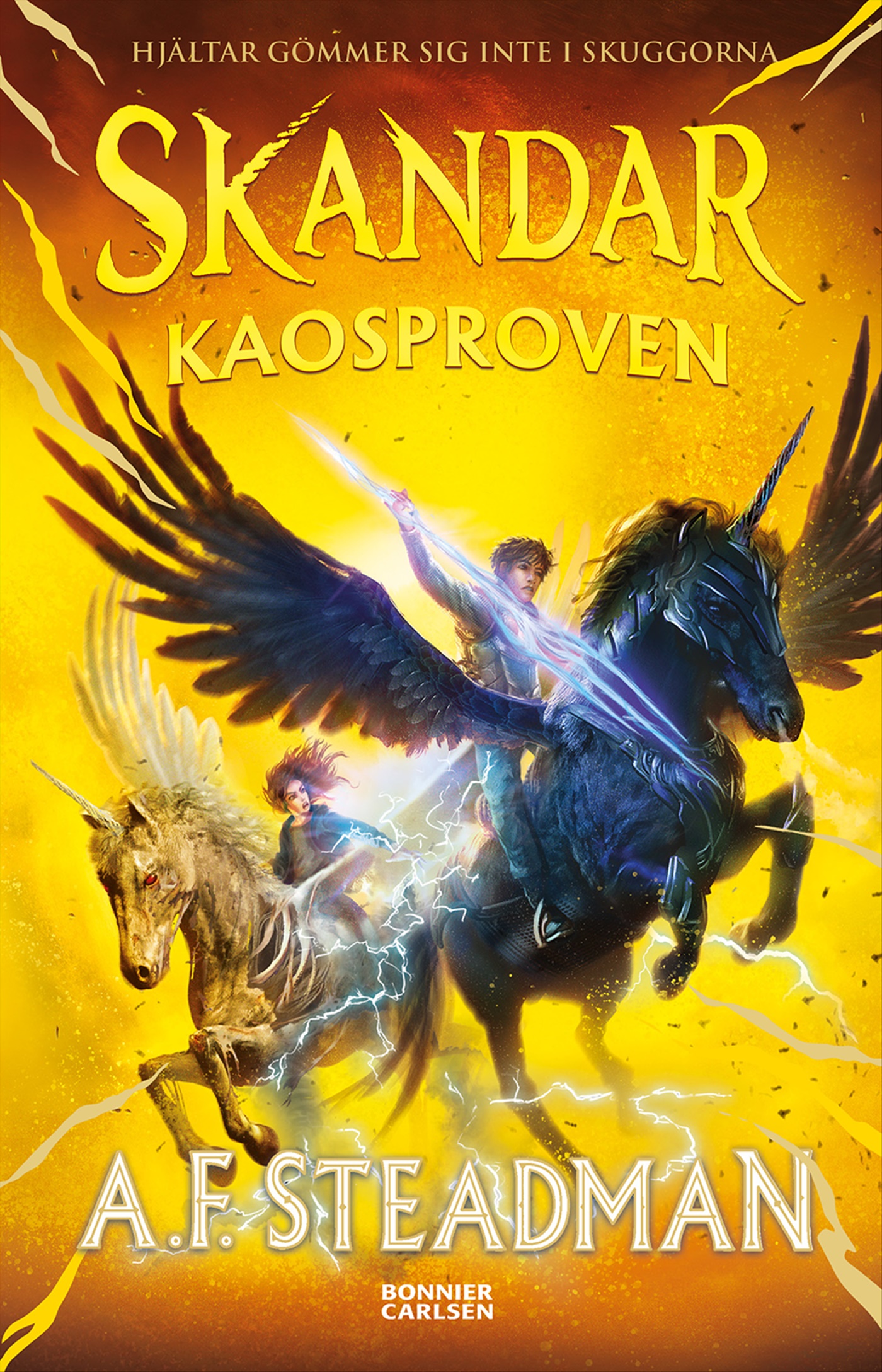 Omslag: Kaosproven