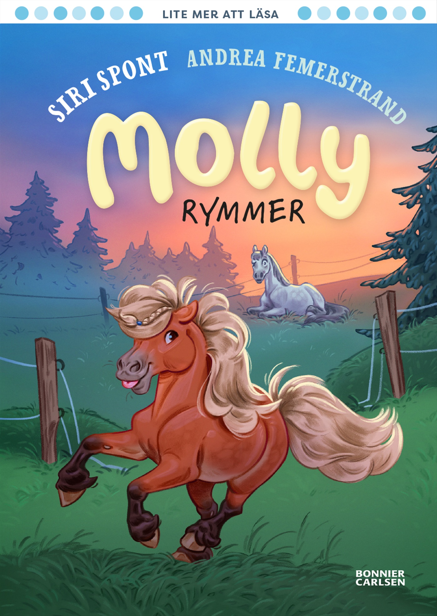 Omslag: Molly rymmer