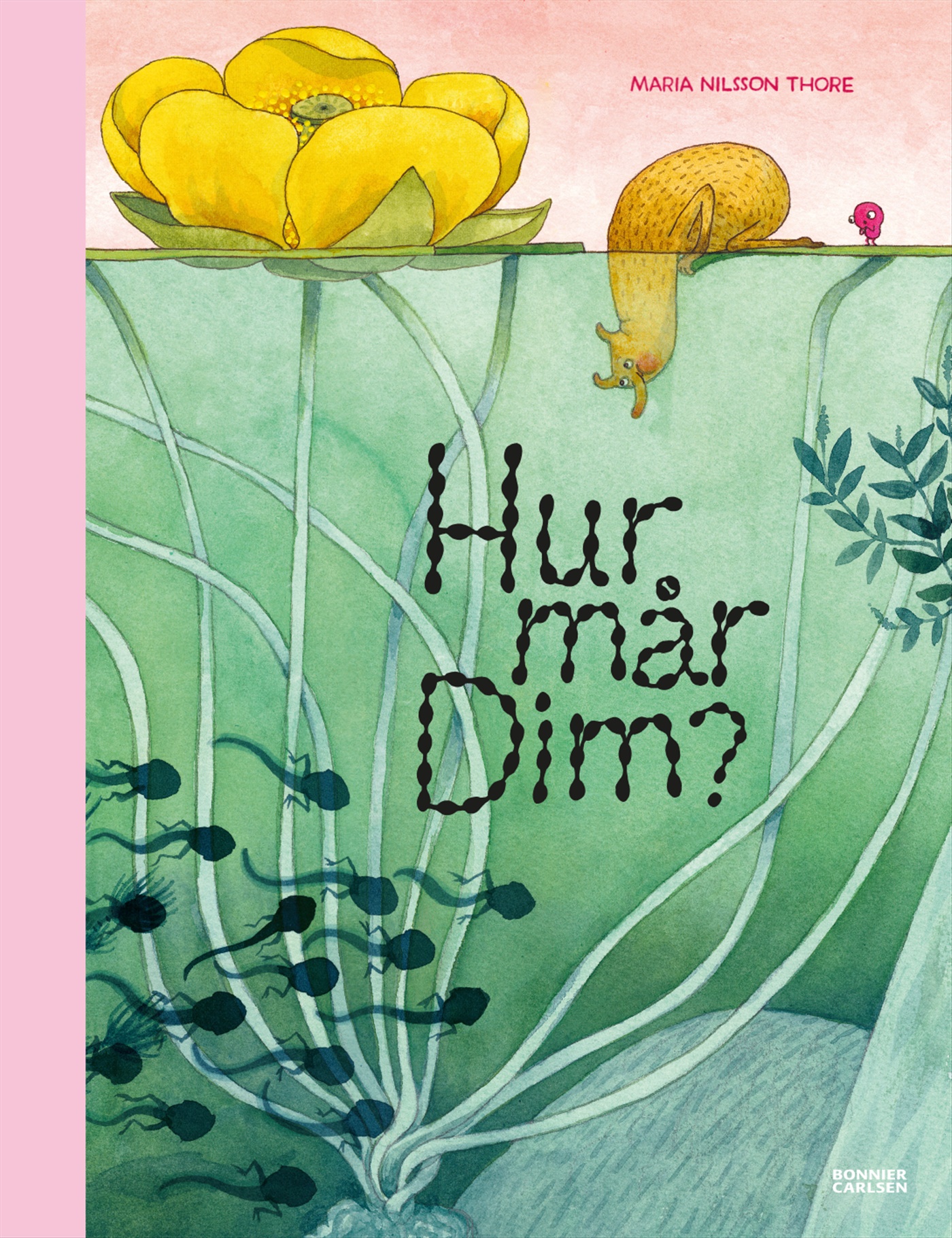 Omslag: Hur mår Dim?