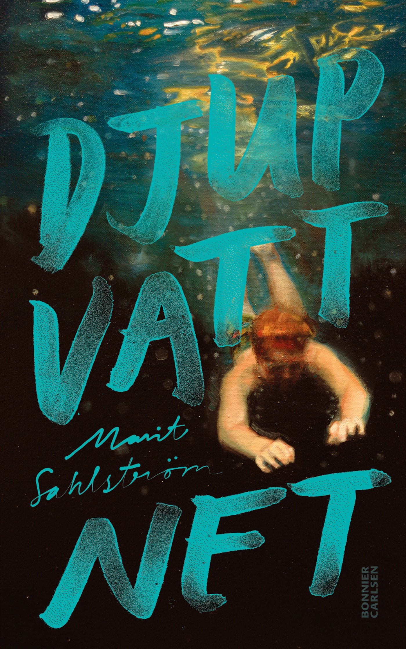 Omslag: Djupvattnet