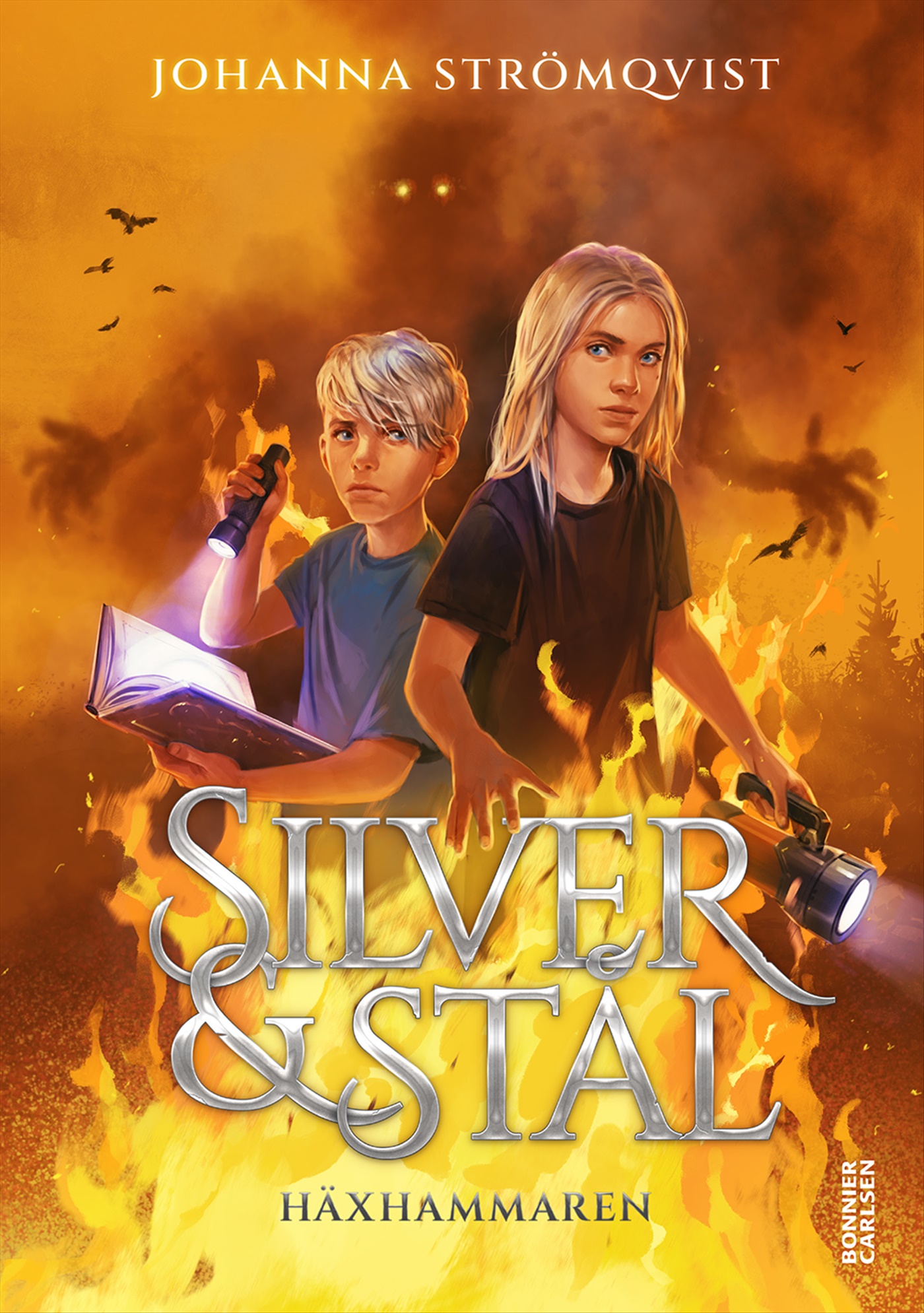 Omslag: Häxhammaren