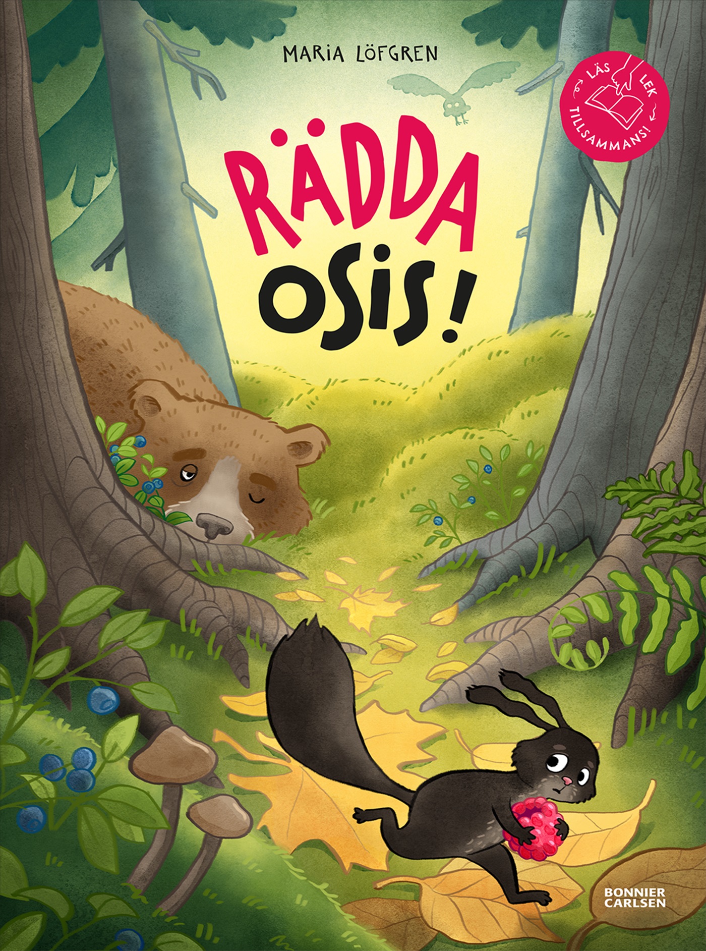 Omslag: Rädda Osis