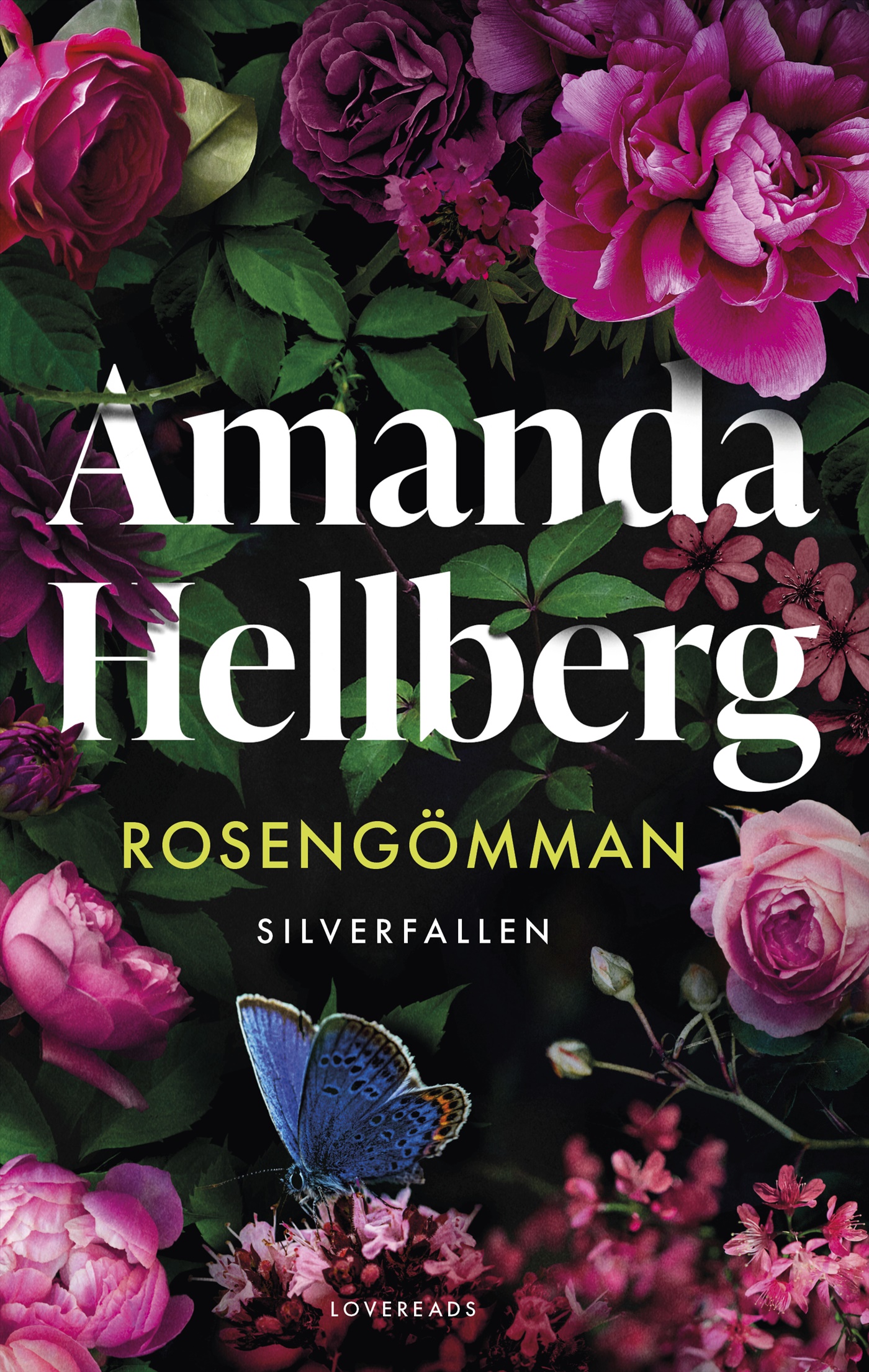 Omslag: Rosengömman