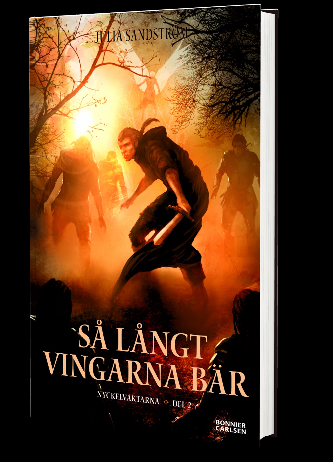 Omslag: Så långt vingarna bär