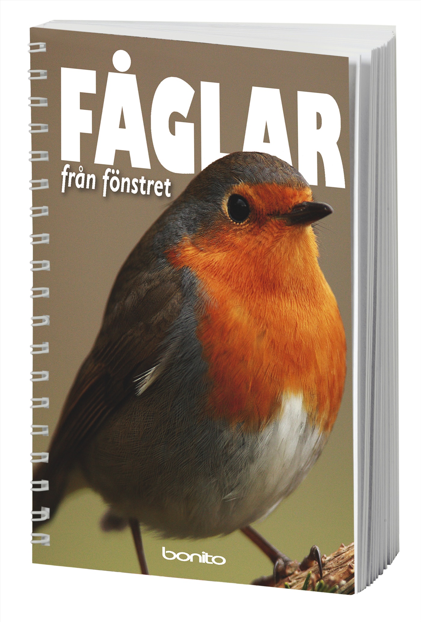 Omslag: Fåglar från fönstret