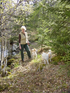 Kerstin Ekman