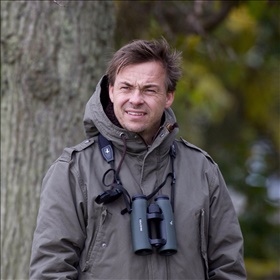 Niklas Aronsson