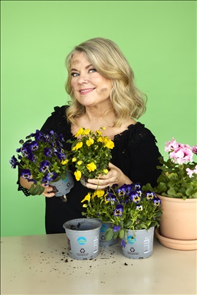 Carin Hjulström